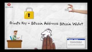 What is a bitcoin wallet What is a bitcoin wallet