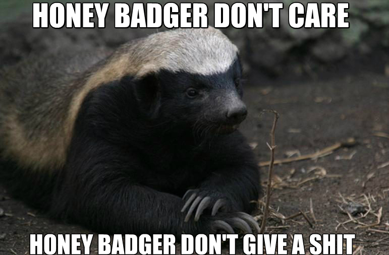 Opinion: the mad world of icos Opinion: the mad world of icos