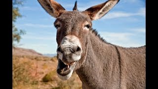 Wanna become rich?? Photon coin moon... Numiv to exchange... Emb hodl!! Electroneum... Grx Wanna become rich?? Photon coin moon... Numiv to exchange... Emb hodl!! Electroneum... Grx