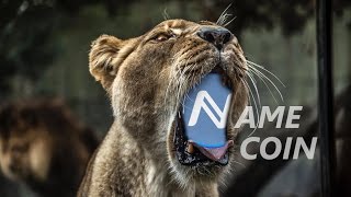 Namecoin technical analysis Namecoin technical analysis