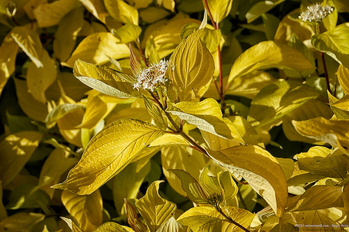 Blockchain lunch-and-learn (+ "win a little bitcoin" game + free training) Tags