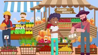 What is terracoin? What is terracoin?