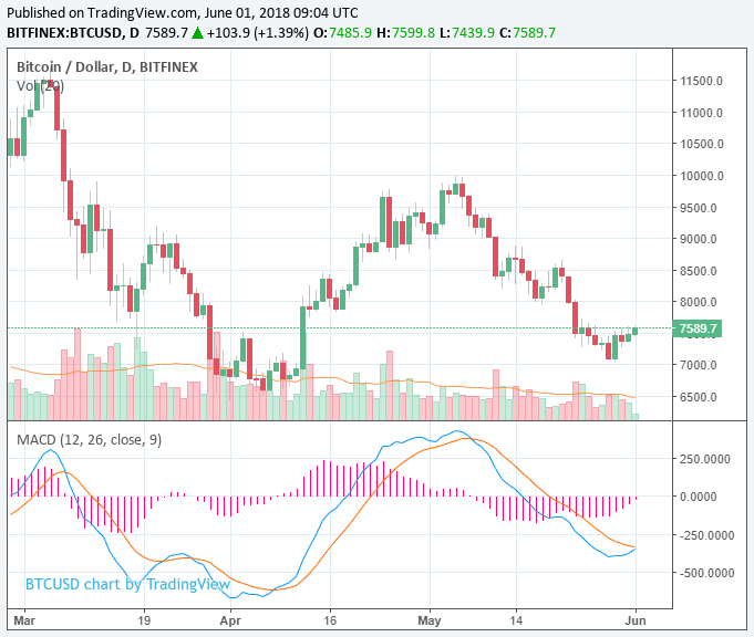 No bull run in sight, investors target long-term bitcoin price rally No bull run in sight, investors target long-term bitcoin price rally
