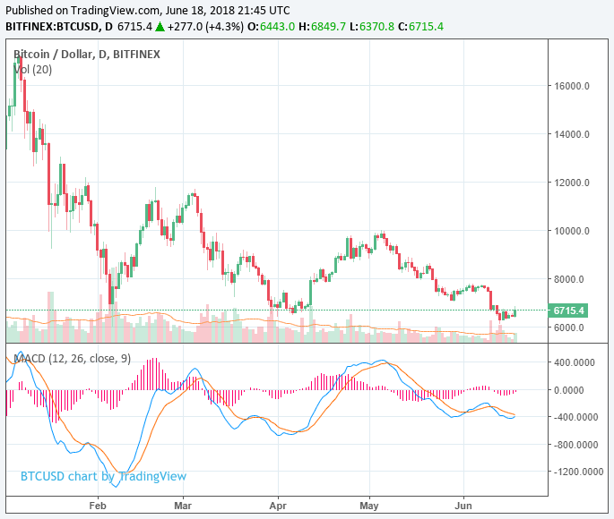 Bitcoin price will hit $60,000 this year: fund manager Bitcoin price