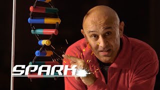 The secrets of quantum physics : let there be life (full physics documentary) | spark The secrets of quantum physics : let there be life (full physics documentary) | spark