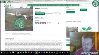 Evergreencoin news report - feb 28th, 2018 Evergreencoin news report - feb 28th, 2018