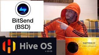 Bitsend (bsd) // настройка // hive os // майнинг // suprnova pool // gtx 1070ti Bitsend (bsd) // настройка // hive os // майнинг // suprnova pool // gtx 1070ti