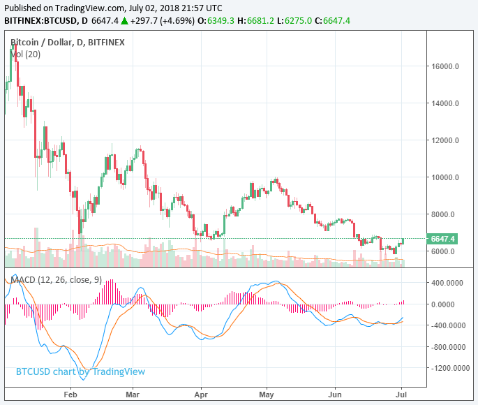 Octagon strategy remains bullish on bitcoin despite price decline Bitcoin price