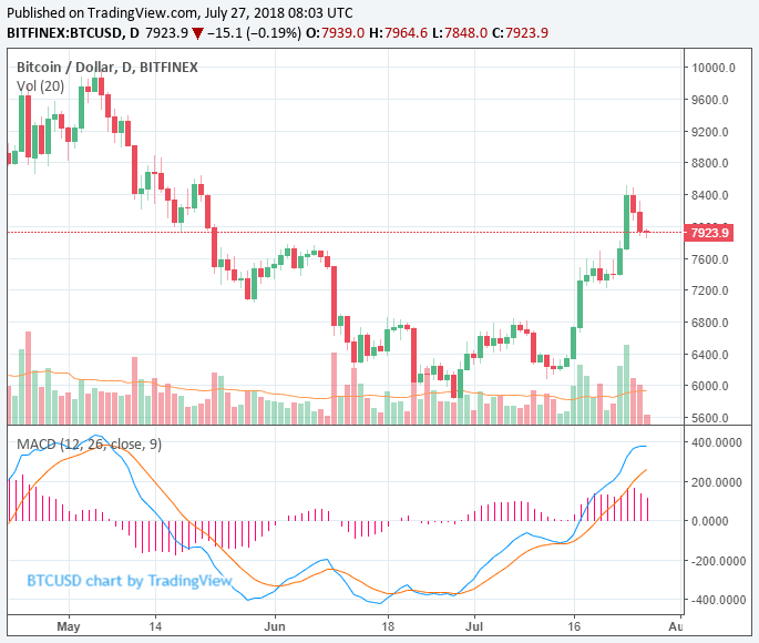 Bitcoin price drops to $7,900 as sec denies winklevoss etf, crypto market loses $11 billion Bitcoin price drops to $7,900 as sec denies winklevoss etf, crypto market loses $11 billion