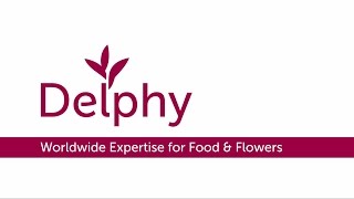 Delphy corporate movie 2017 Delphy corporate movie 2017