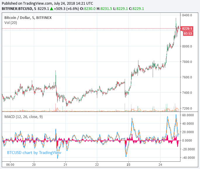 $300 billion: cryptocurrency market cap hits major milestone as bitcoin soars Bitcoin price chart