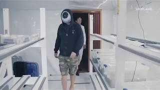 Magic mushrooms documentary (vice) Magic mushrooms documentary (vice)