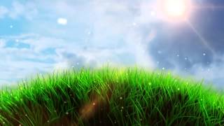 Colossuscoin 2. 0 Colossuscoin 2. 0