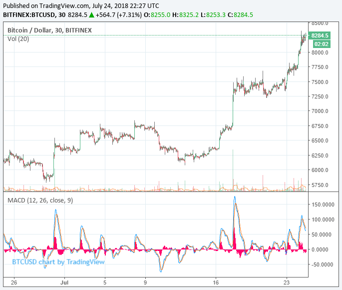 Why bitcoin’s summer rally is here to stay: brian kelly Bitcoin price