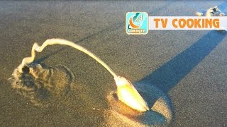 Amazing catching and cooking razor clam Amazing catching and cooking razor clam