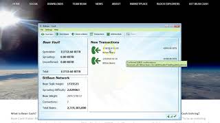 Staking bean cash Staking bean cash