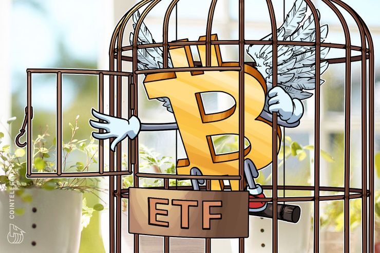 Fatfish internet group: markets could ‘accept’ bitcoin etf within ‘couple of months’ Fatfish internet group: markets could ‘accept’ bitcoin etf within ‘couple of months’