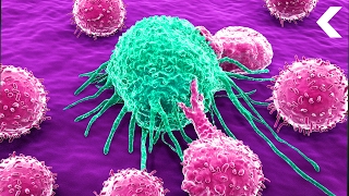 Two-thirds of all cancers are caused by one thing: your dna Two-thirds of all cancers are caused by one thing: your dna