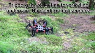 Phantomx terrain walking Phantomx terrain walking