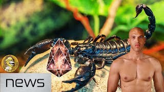 Bitcoin & cryptocurrency news - eos bugs, titanium finished, icos for koreans, and zimbabwe Bitcoin & cryptocurrency news - eos bugs, titanium finished, icos for koreans, and zimbabwe