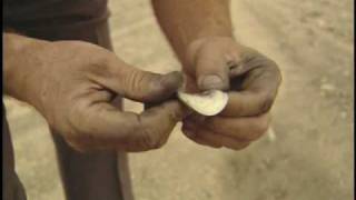 Bob munden -- aerial coin shots Bob munden -- aerial coin shots