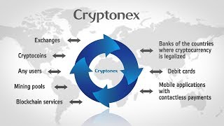 What is cryptonex? What is cryptonex?