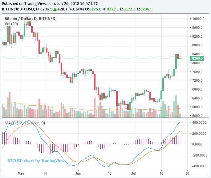 Crypto markets surpasses $300 billion; did etf cause bitcoin to rally? Crypto markets surpasses $300 billion; did etf cause bitcoin to rally?