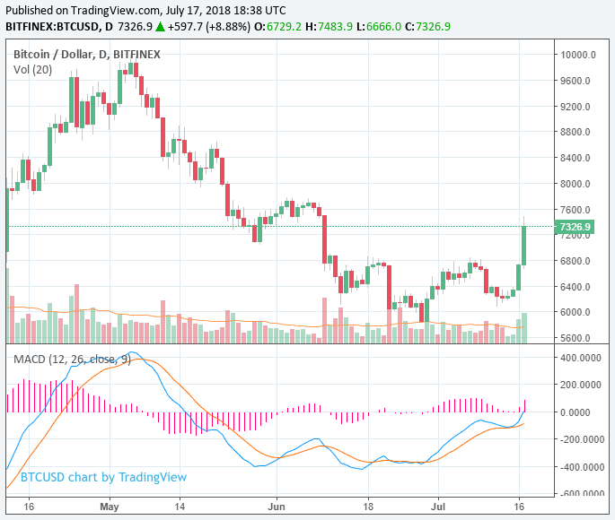 Crypto market adds $20 billion in 30 minutes as bitcoin spikes above $7,400 Crypto market adds $20 billion in 30 minutes as bitcoin spikes above $7,400