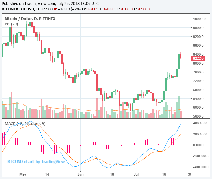 Bitcoin price gains: tokens and small coins start to rebound as crypto volume explodes Bitcoin price gains: tokens and small coins start to rebound as crypto volume explodes