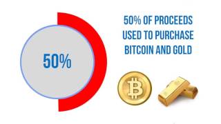 The unity ingot explained The unity ingot explained
