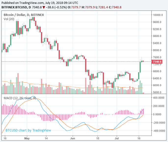 Crypto market makes minor retreat post-rally, ether and bitcoin cash down 5% Crypto market makes minor retreat post-rally, ether and bitcoin cash down 5%