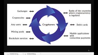 Что такое cryptonex? Cnx обзор проекта cryptonex Что такое cryptonex? Cnx обзор проекта cryptonex