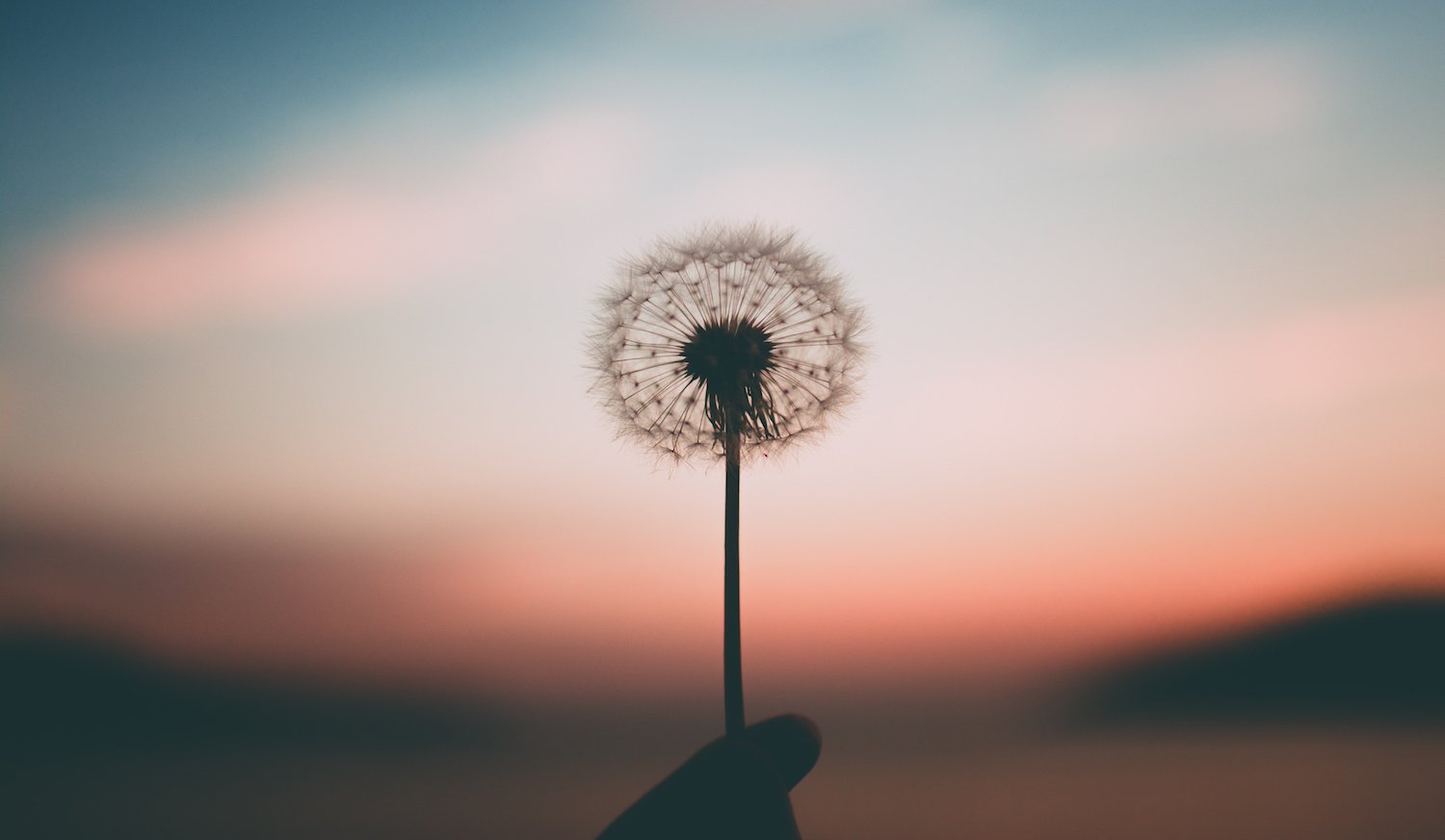 There's a huge opportunity for everyone in crypto, it's called kyc/aml There's a huge opportunity for everyone in crypto, it's called kyc/aml