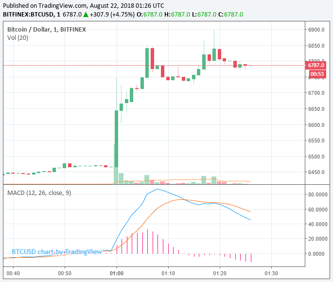 Newsflash: bitcoin price spikes near $6,900 as bitmex goes offline Bitcoin price