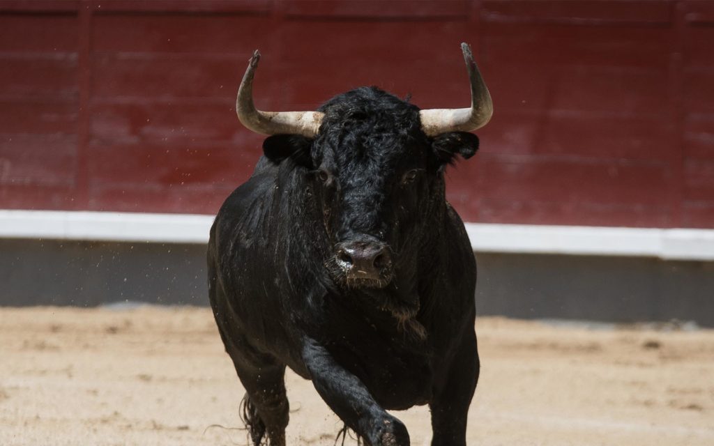 Bears battle bulls at $7000: where will bitcoin price go from here? Bitcoin price live: bullrun in cards as etf hype fuels unprecedented rise