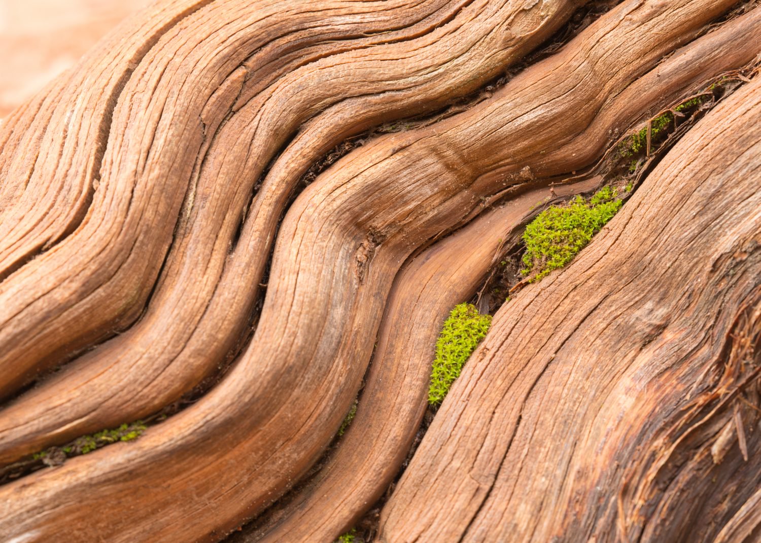 Bitcoin's taproot privacy tech is ready – but one thing's standing in the way Bitcoin's taproot privacy tech is ready – but one thing's standing in the way