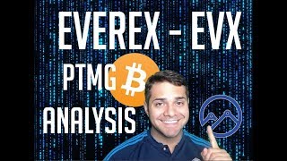Everex (evx) - ptmg analysis Everex (evx) - ptmg analysis