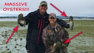 30 year old oyster {catch clean cook} best po' boy ever!!! 30 year old oyster {catch clean cook} best po' boy ever!!!