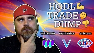 Hodl, trade, or dump: vechainthor vs waltonchain vs ambrosus Hodl, trade, or dump: vechainthor vs waltonchain vs ambrosus