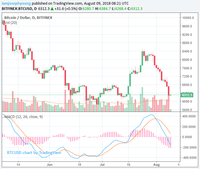 Bitcoin price rises 3% in gloomy cryptocurrency market recovery Bitcoin price rises 3% in gloomy cryptocurrency market recovery