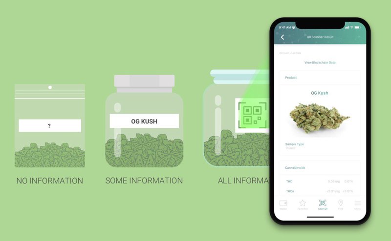 Paragon partners with civic technologies to deliver transparency, digital ids to cannabis industry Paragon partners with civic technologies to deliver transparency, digital ids to cannabis industry