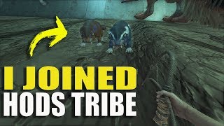 I joined hods tribe - official small tribe servers pvp s2 ep1 | ark: survival evolved I joined hods tribe - official small tribe servers pvp s2 ep1 | ark: survival evolved