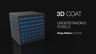 3d coat understanding voxels 3d coat understanding voxels