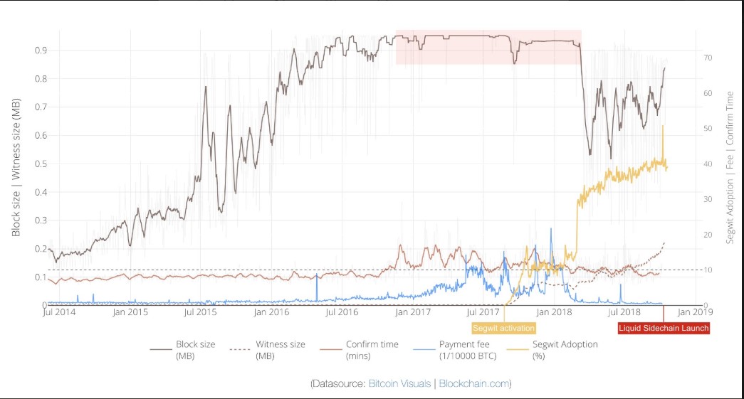 Bitcoin network congestion reaches 95%, but fees hold steady Bitcoin network congestion reaches 95%, but fees hold steady
