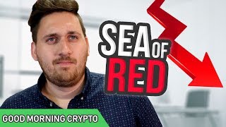 Sea of red // cryptocurrency nose dive // crypto market news Sea of red // cryptocurrency nose dive // crypto market news