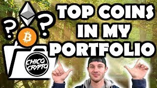 Which coins do i hodl??? Portfolio breakdown in % 👍🏼 🤑 top cryptocurrency 2018-2019 Which coins do i hodl??? Portfolio breakdown in % 👍🏼 🤑 top cryptocurrency 2018-2019
