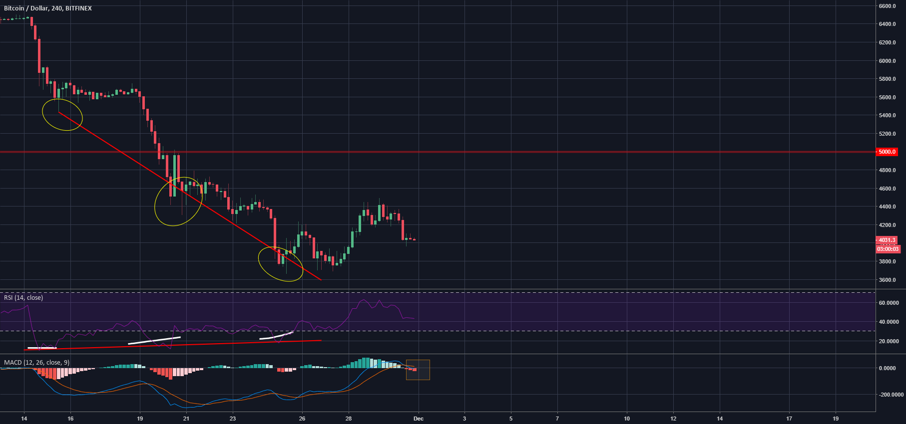 Bitcoin bullish signals Bitcoin bullish signals