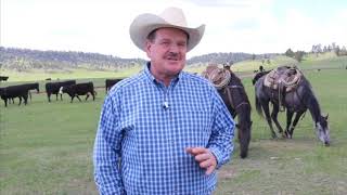 Blockchain Blockchain