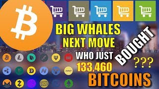 Who bought 133,460 bitcoins bitcoin whales next move cryptocurrency news hindi Who bought 133,460 bitcoins bitcoin whales next move cryptocurrency news hindi