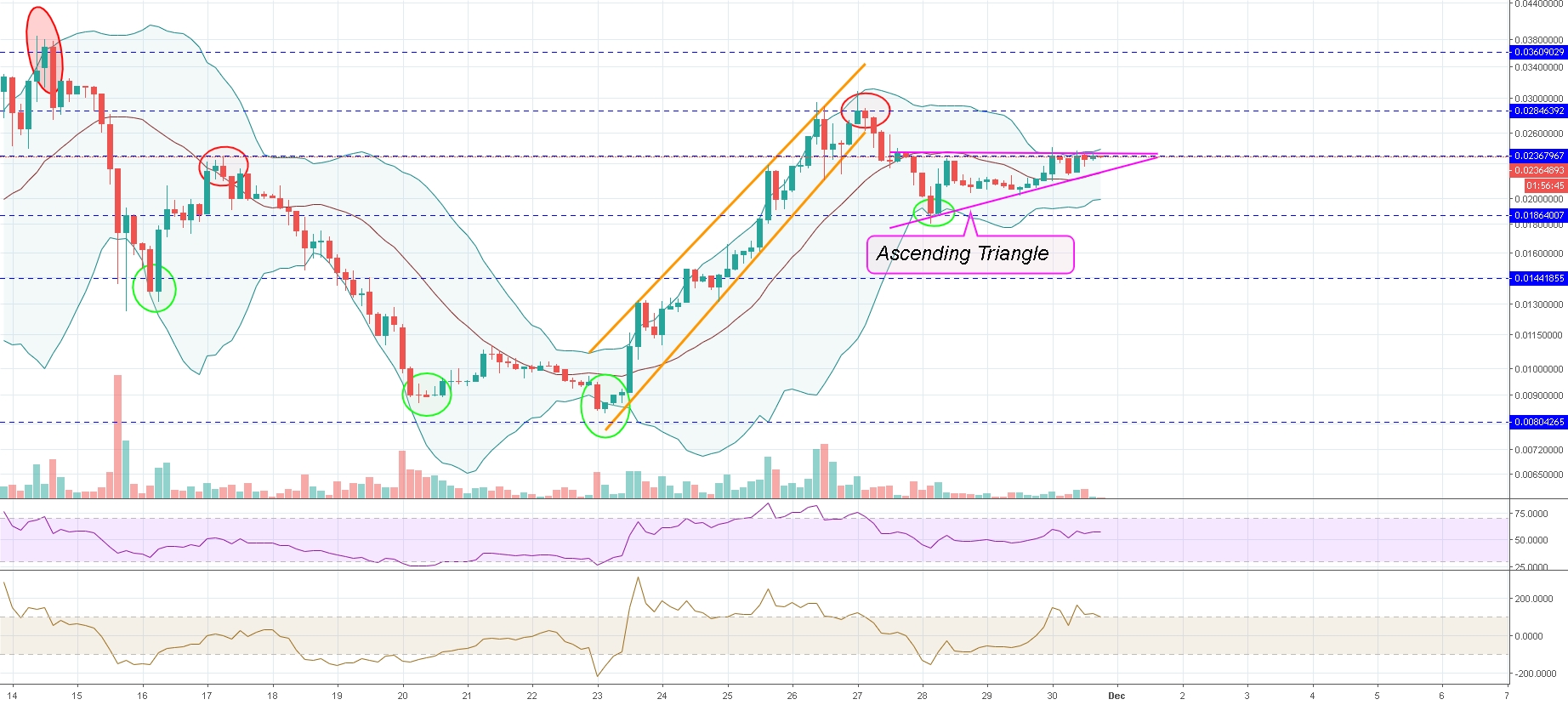#bitcoincashsv #bitcoin #bitcoinprice #trading #bitdharma #bitcoincashsv #bitcoin #bitcoinprice #trading #bitdharma
